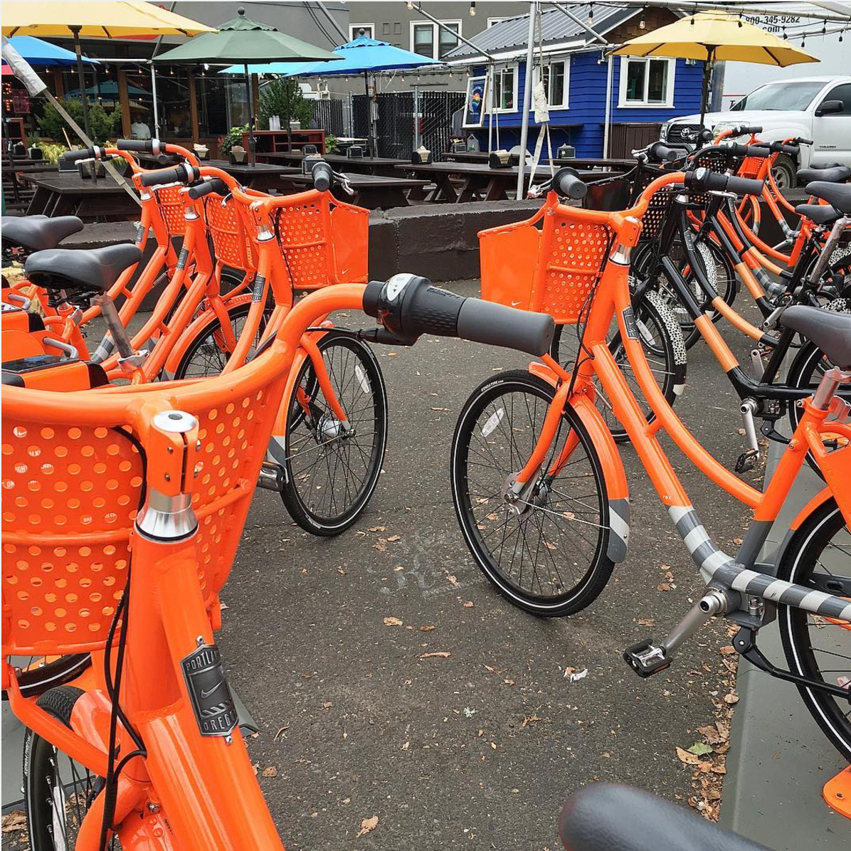 Portland Bike Rental at Lardo 